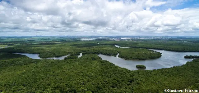 Les barrages sur l'Amazone mettent en danger la biodiversité
