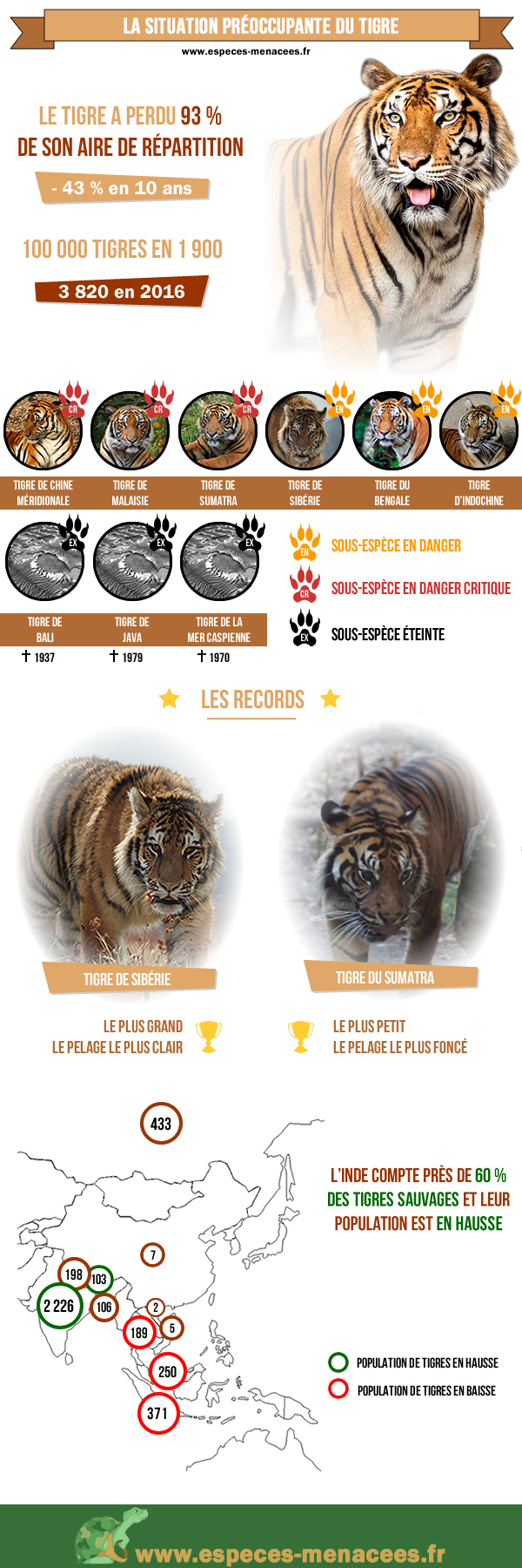 Journée mondiale du tigre de 2017
