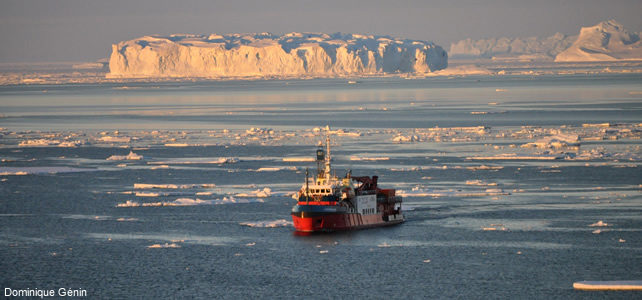 aire marine antarctique