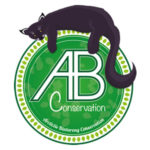 ABConservation – pour la protection du binturong