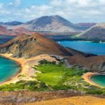 Cinq espèces menacées emblématiques des Galápagos