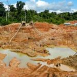 La Montagne d’Or, un projet minier industriel au coeur de la forêt guyanaise