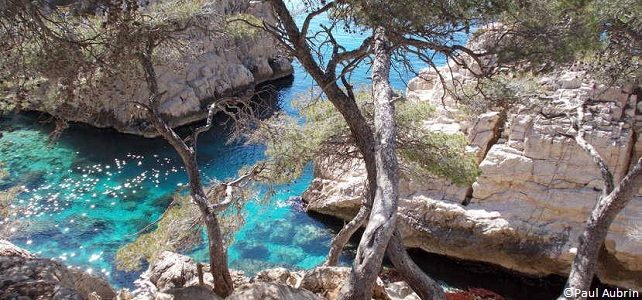 Parc national des calanques