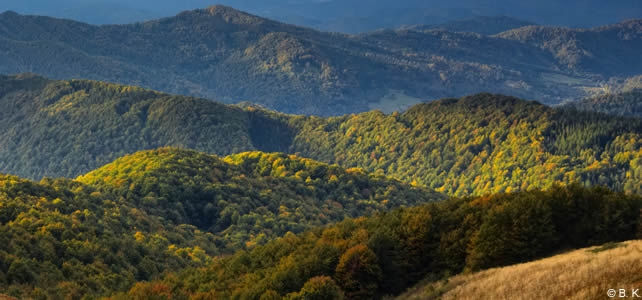 Bieszczady national park