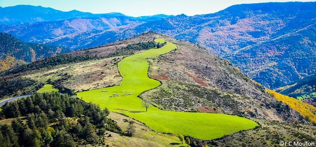 Parc national des Cévennes