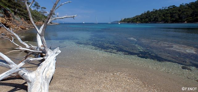 Parc national de Port Cros