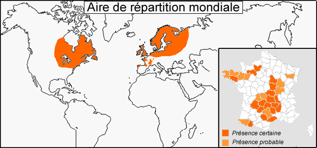 localisation moule perliere