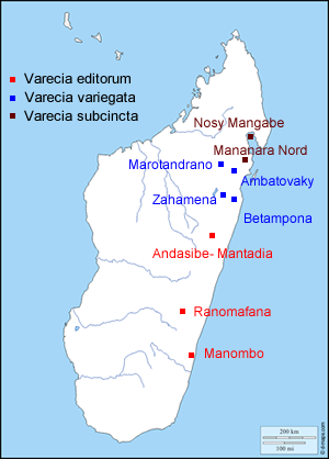 aire de répartition des lemurs varis