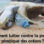 La lutte s’organise contre la pollution plastique des océans