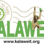 Kalaweit