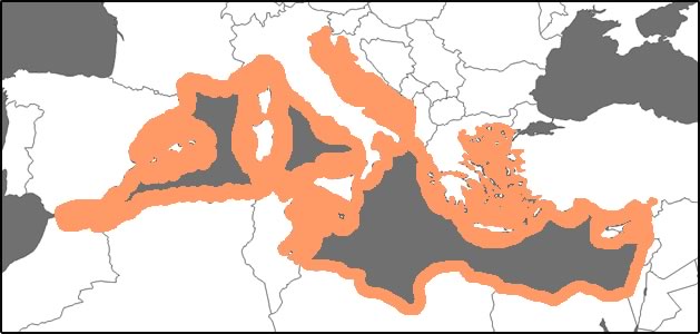 localisation mobula mobular