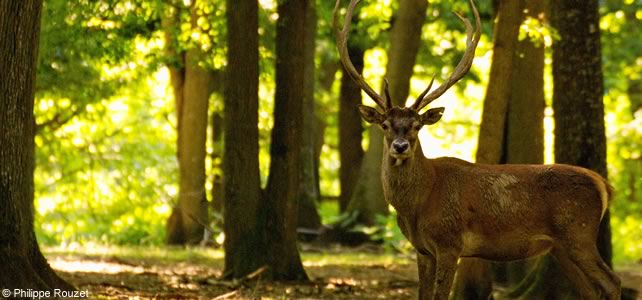 biodiversité france