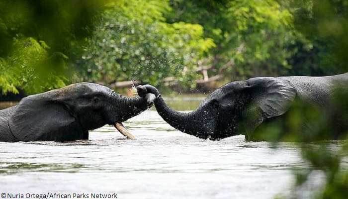 Parc national de la Garamba