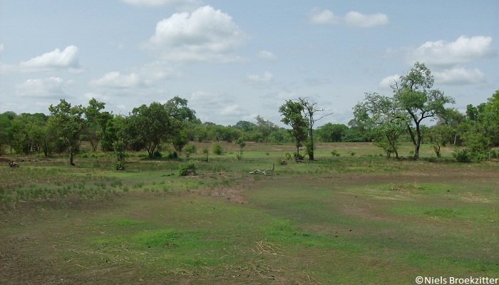 Parc national de Niokolo-Koba