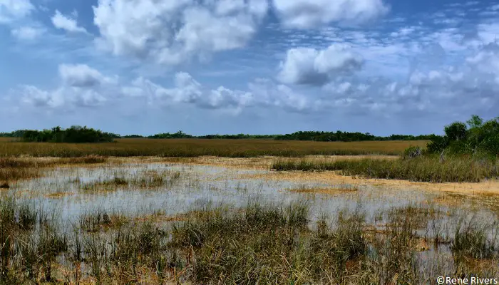 Everglades, Etats-Unis