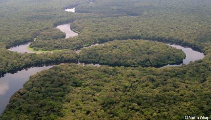 Parc national de Salonga