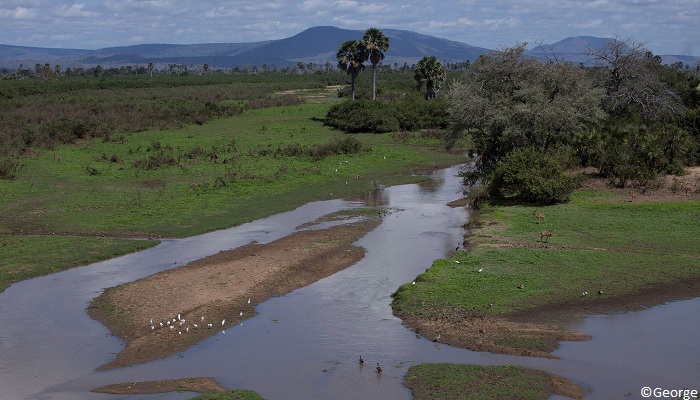 Selous, Tanzanie