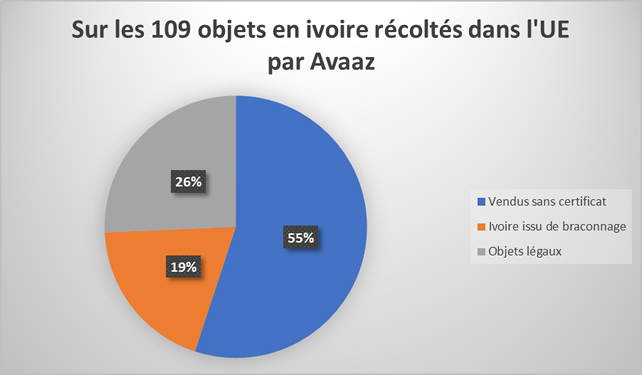 ivoire illégal europe