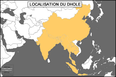 Habitat du dhole