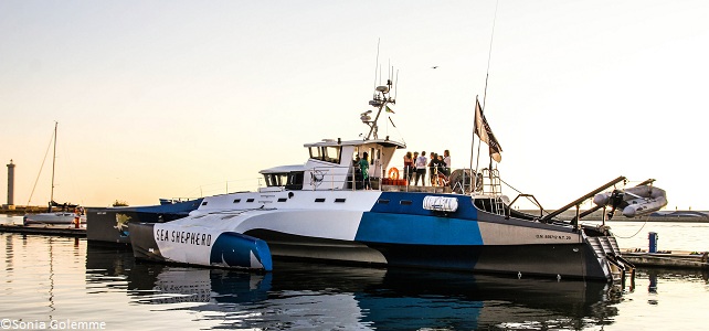 Brigitte Bardot Sea Shepherd