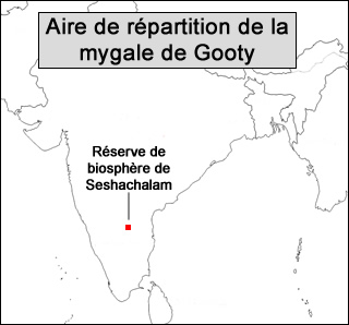 localisation mygale saphire