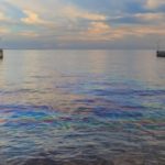Un accord inédit menace plus que jamais la faune de la mer Caspienne