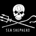 Sea Shepherd