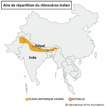 Habitat rhinocéros indien