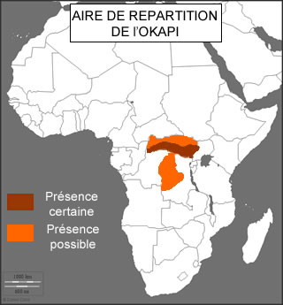 localisation okapi