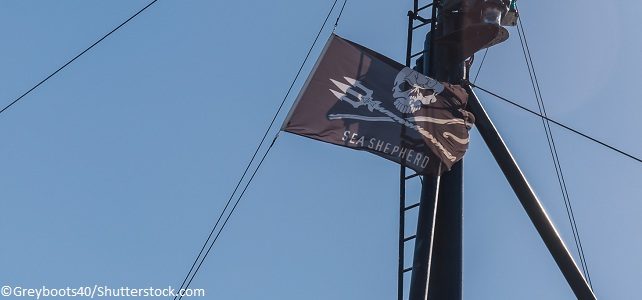 Sea Shepherd en Méditerranée