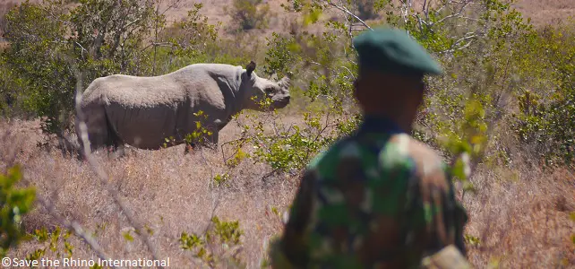 Ranger Save the Rhino