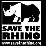 Save the Rhino, l’ONG qui se bat pour les cinq espèces de rhinocéros