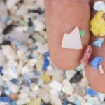 Le microplastique, une pollution invisible et sous-estimée