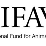 IFAW, le fonds international pour la protection des animaux