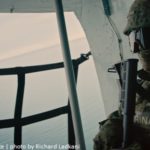 « Sea of Shadows » : immersion dans la lutte pour sauver les derniers vaquitas