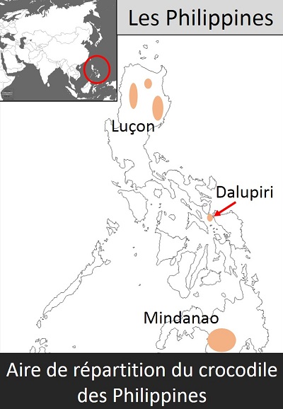 Habitat crocodile des Philippines