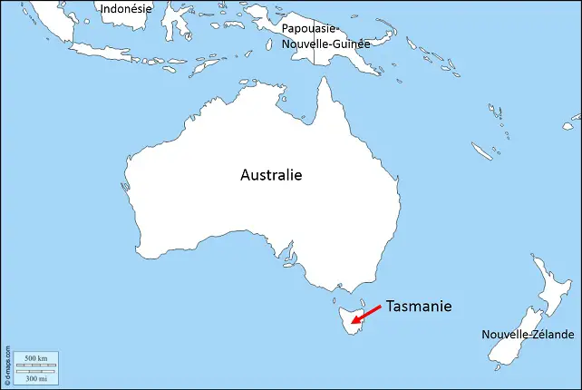 Habitat diable de Tasmanie