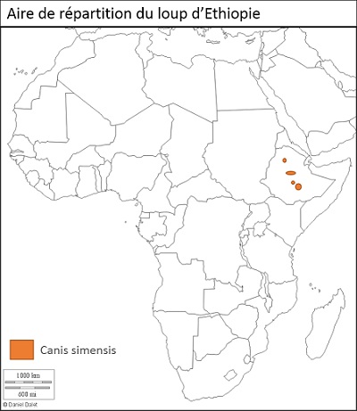 Aire de répartition du loup éthiopien