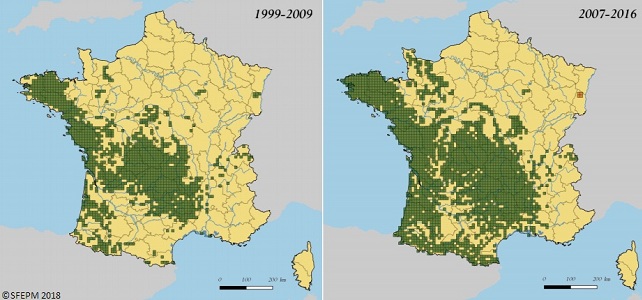 La loutre colonise à nouveau le territoire français