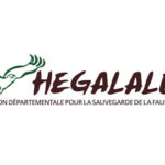 Hegalaldia