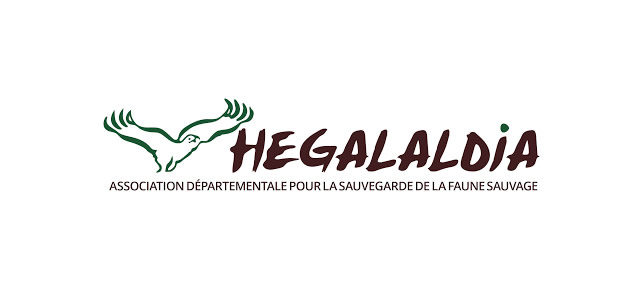 hegalaldia centre logo