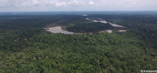 Projet Dulan à Bornéo