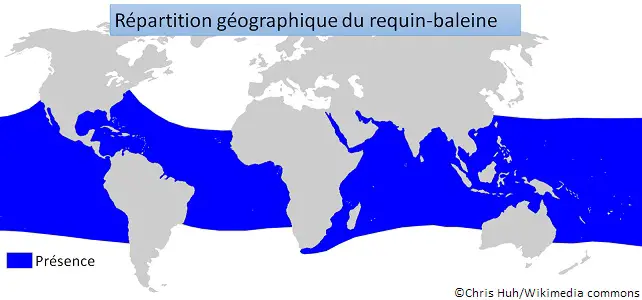 Répartition géographique du requin-baleine