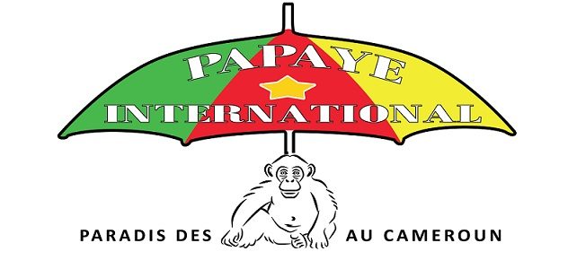 Logo association Papaye International