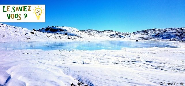 L’eau des glaciers est capable de stocker du CO2