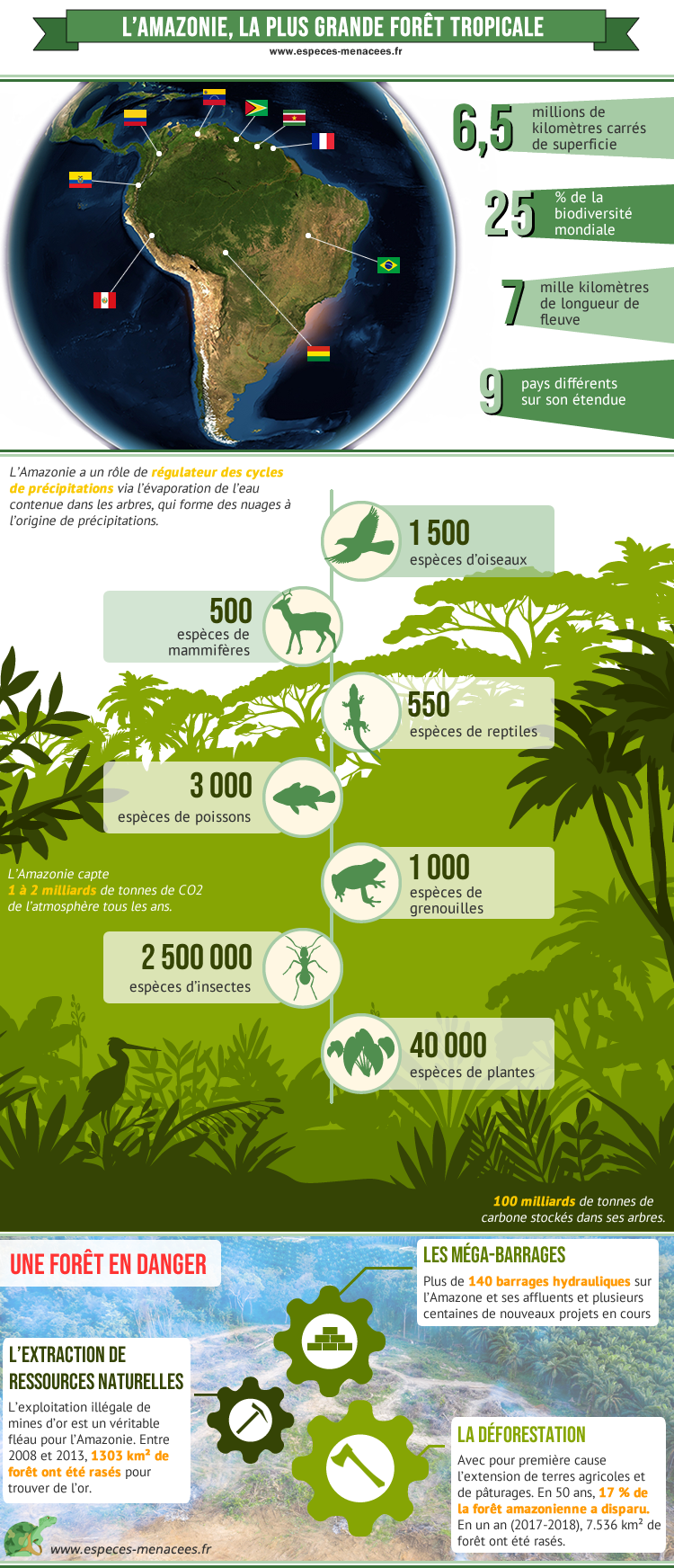 Amazonie, biodiversité et rôle climatique