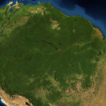 Amazonie : une biodiversité unique, un rôle climatique majeur