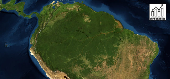 Infographie Amazonie biodiversité et climat