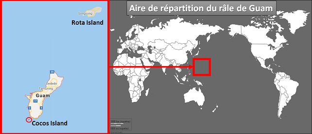 Aire de répartition du râle de Guam