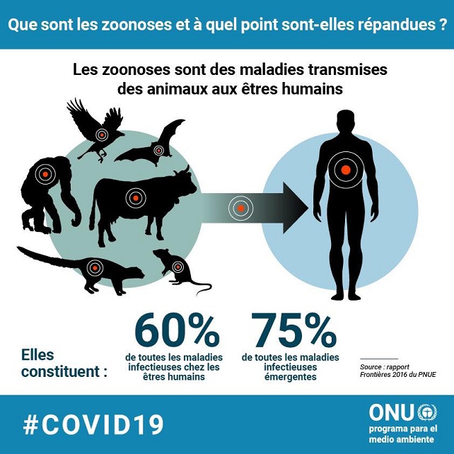 Zoonoses et coronavirus